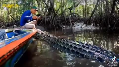 Cute and adorable animal behavior makes anyone happy to see it