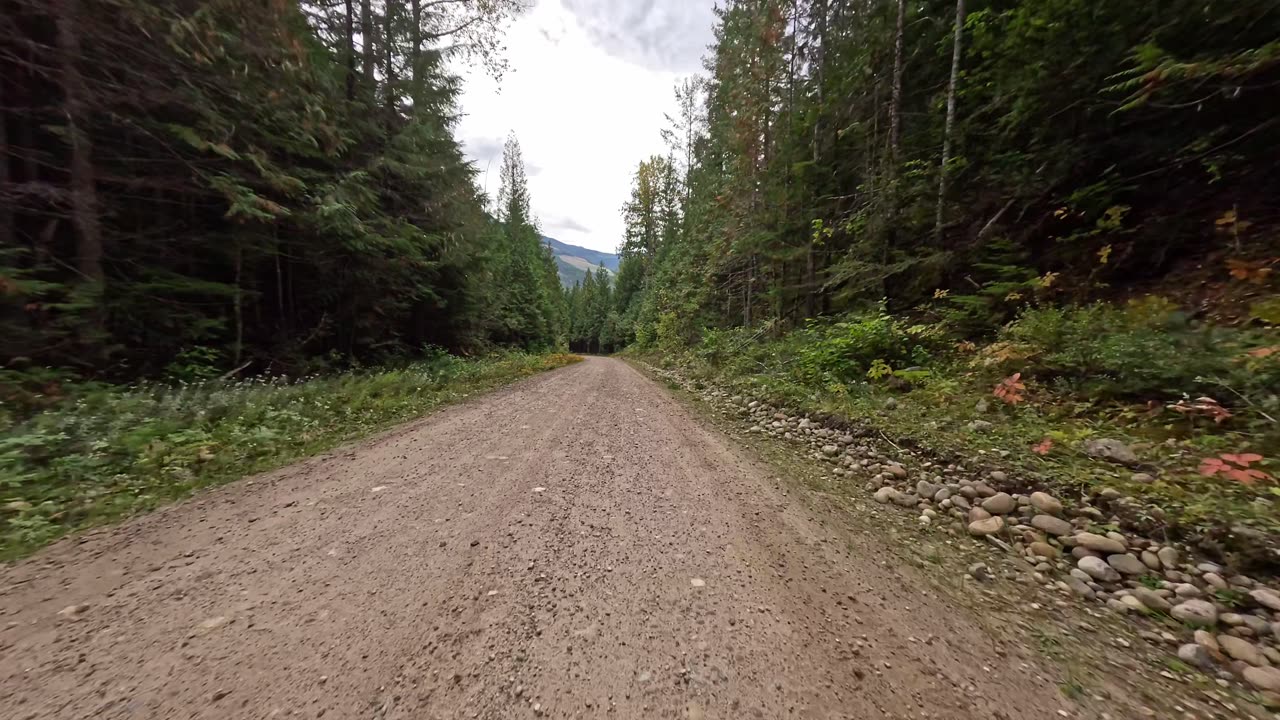 Mabel FSR (Enderby/Three Valley Gap/Lumby, B.C.) 59km to 47km