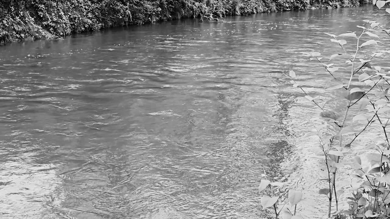 River black and white / River with muddy water