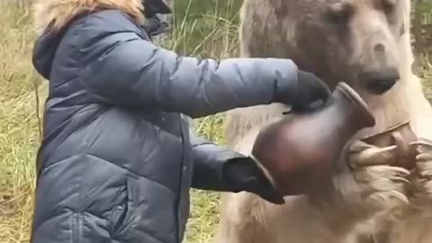 a boy and his bear