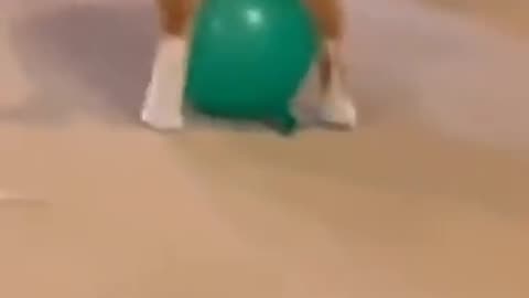 Funny Cats and Dogs Compilation