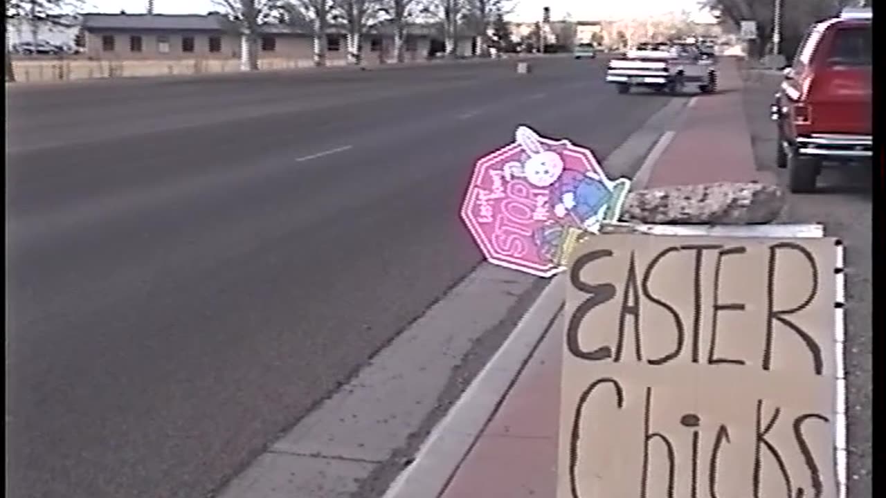 AZ Snowboarding Skating Video Club