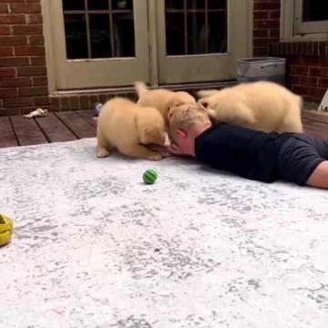 Gnight frens. Let's laugh a little before bedtime. Love attack! 😂😍🤣