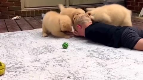 Gnight frens. Let's laugh a little before bedtime. Love attack! 😂😍🤣
