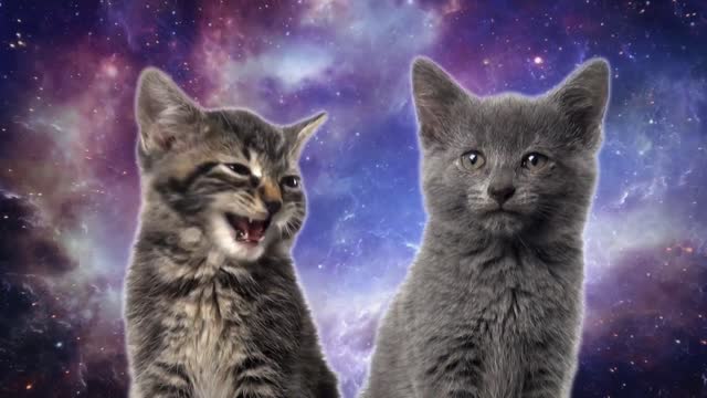 Space Cats Sing- Magic Fly