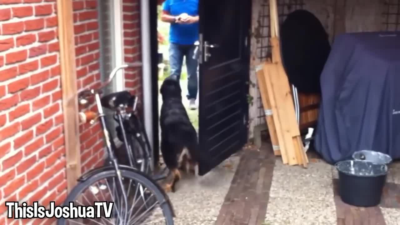 Girl Reunites With Pet Lion After 8 YEARS