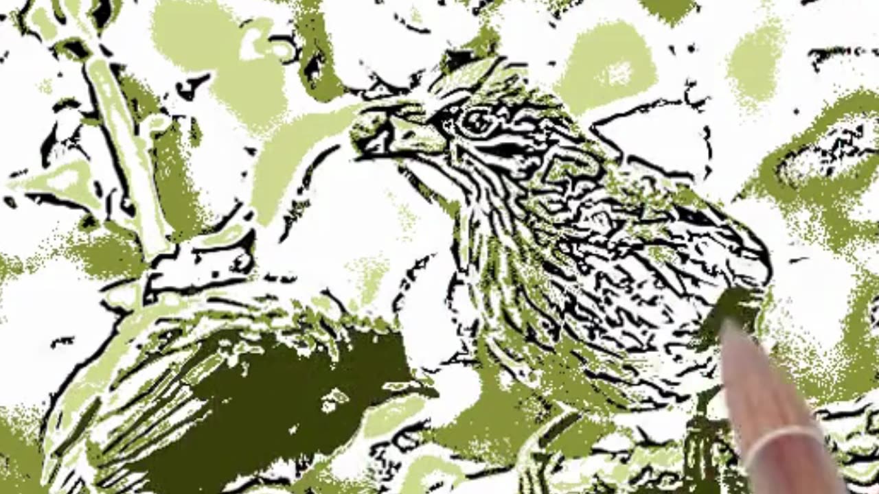 Quick and Easy Bird Sketching Tutorial