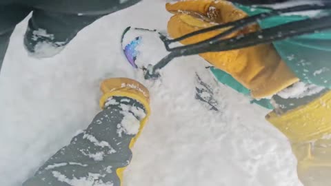 Tree Well Rescue at Mt. Baker