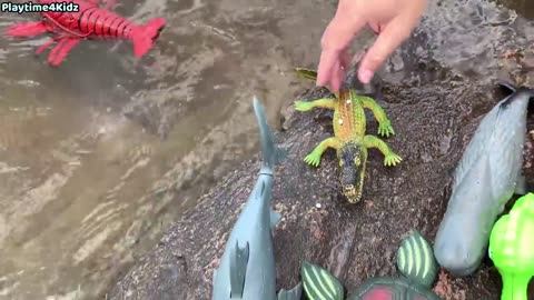 aquatic animals toys