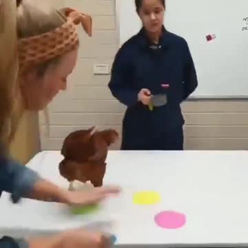 An Interesting Explain of Reinforcement