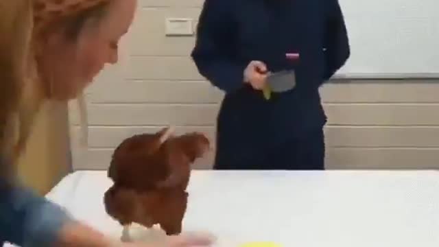 An Interesting Explain of Reinforcement