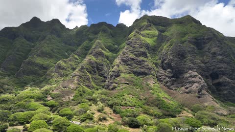 Shawn Richey For Hawaii House of Reps. District 49