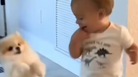 Beby Funny Video