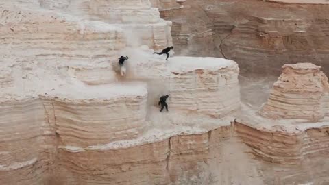 DESERT PARKOUR RAMPAGE