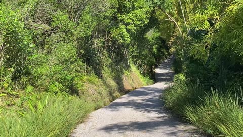 8/15 - Guiando você pelo paraíso: Praia da Ponta dos Ganchos em Governador Celso Ramos