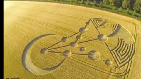 How Crop Circles Are Made? Advanced Extraterrestrial Technology❣️
