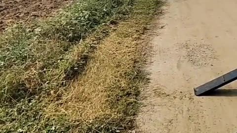 #Useful#Beautiful#Funny #Funny video#laugh# interesting#video#short video#short#short cut