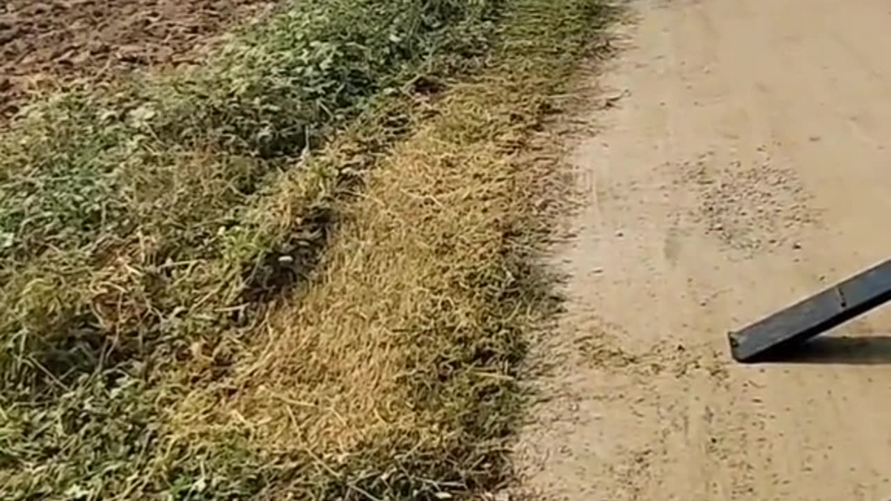 #Useful#Beautiful#Funny #Funny video#laugh# interesting#video#short video#short#short cut