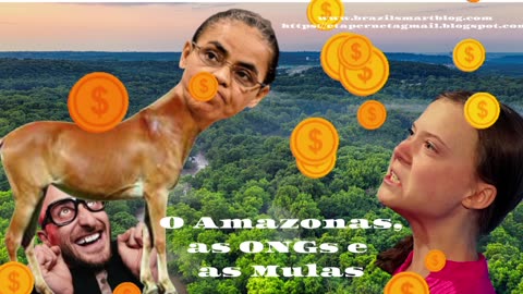 O AMAZONAS, AS ONGs E AS MULAS