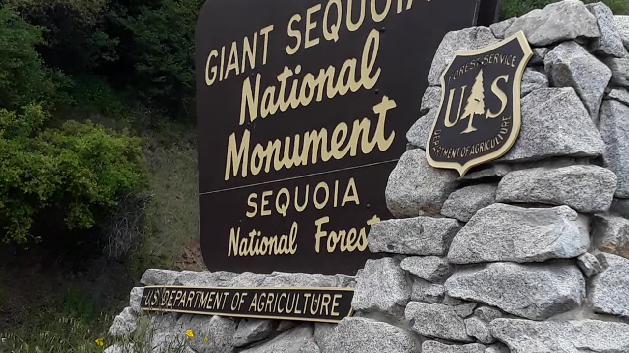 Sequoia National Park and the HUGE trees are a wonder to see. 5/8/23