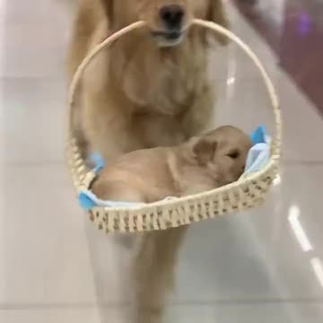 The proudest mother I have ever seen 😭