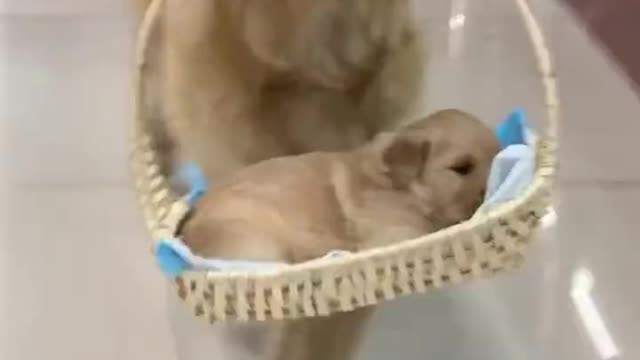 The proudest mother I have ever seen ðŸ˜