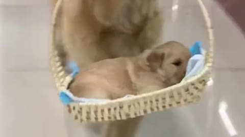 The proudest mother I have ever seen 😭