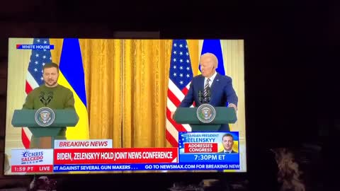 Zelensky's interpreter made a Freudian mistake: