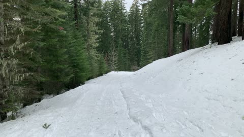 Wall O' Snow – Central Oregon – Potato Hill Sno-Park – 4K