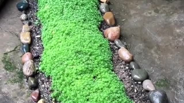 A stream that won't dry