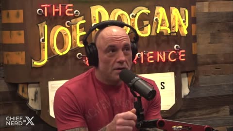 Joe Rogan & Brian Simpson on Governments Closing Businesses During COVID Just for 'Optics'
