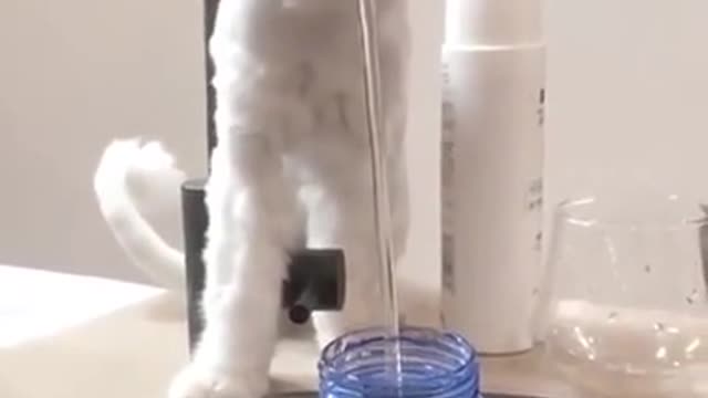 Where did the water go?