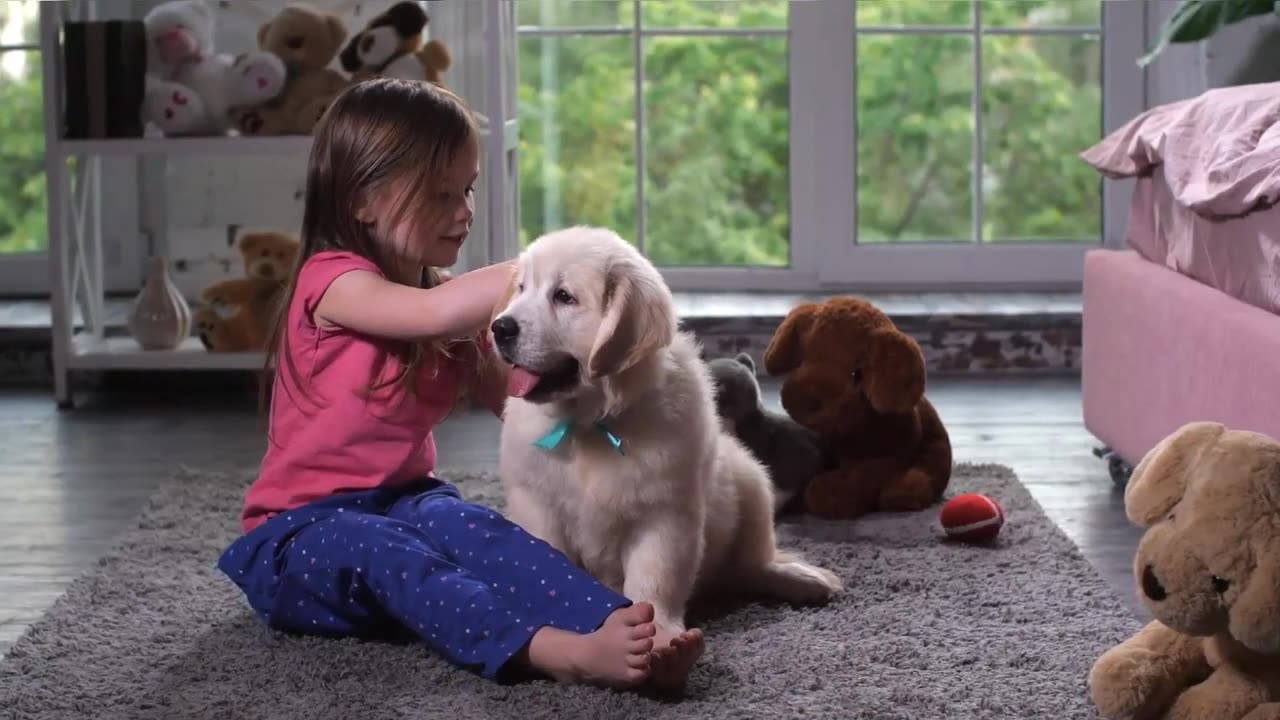 Best Dogs For Kids - TOP 5 Best Dog Breeds For Kids In The World! Healthy Pets