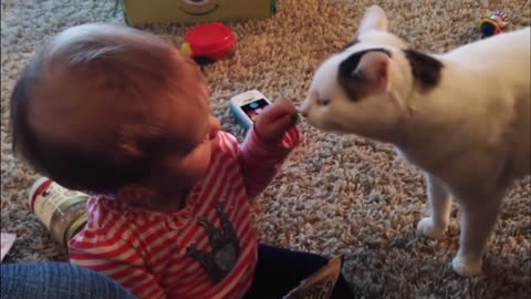 Funny Babies Playing With Cats - Try Not To Laugh