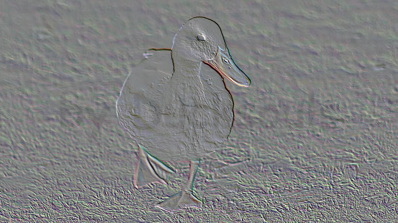 Duck 91