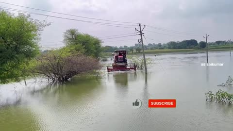 देखो ये मशीन पानी में फसल काट किस तरह से काट रही है