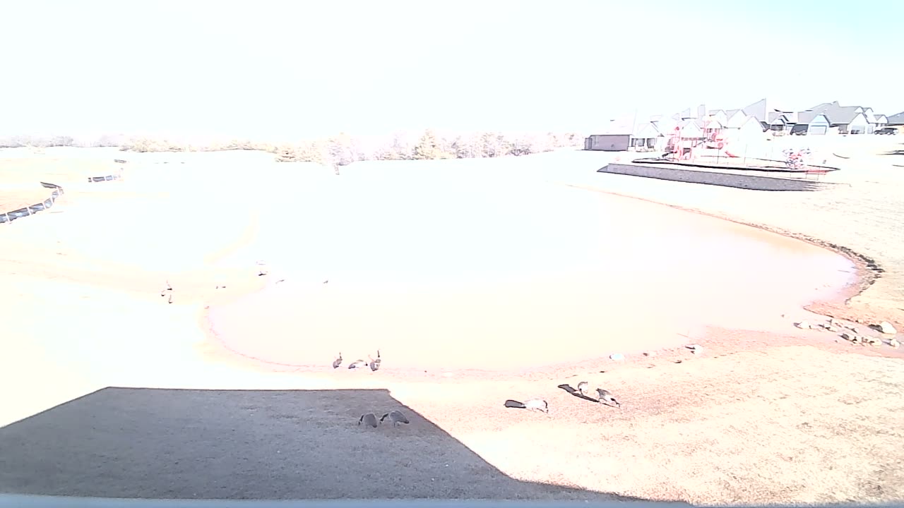 The Pond