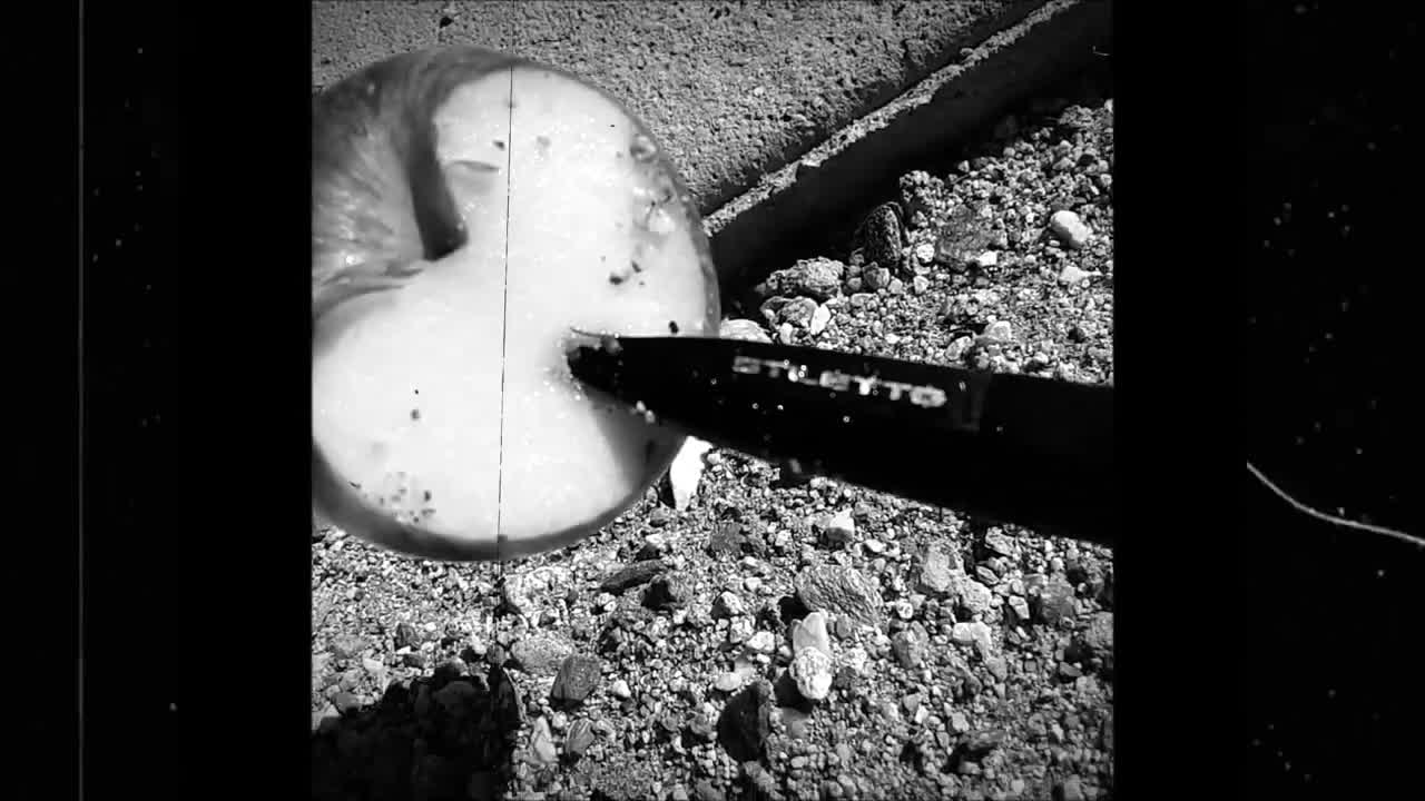 DENEARLAND OFFICIAL VIDEO