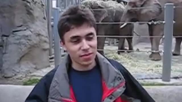 Day at the zoo