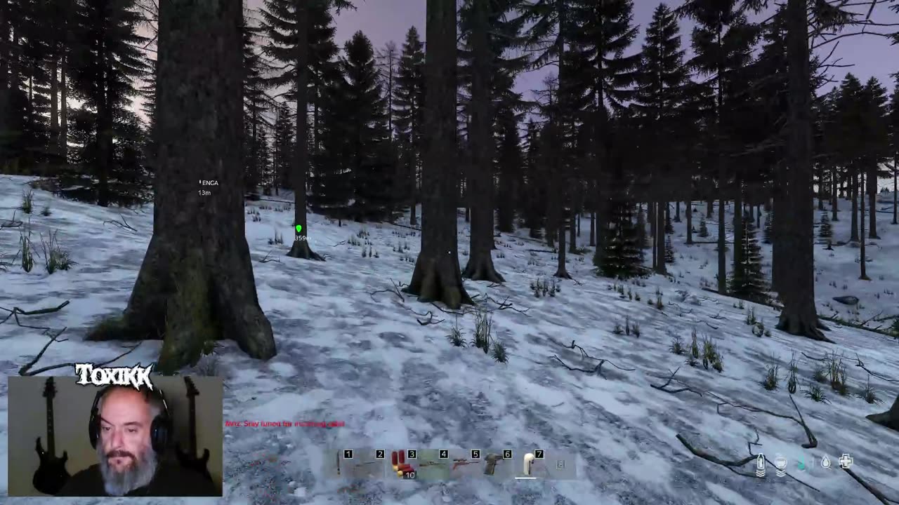 Merry Christmas, Ya Filthy Animal (DayZ)