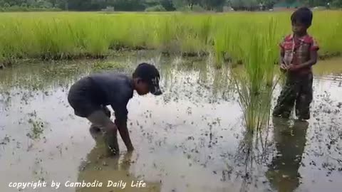 OMG! Two Brothers Catch Extremely Big Snake While Finding Fish in Canal