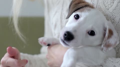 girl with a puppy in her arms at home