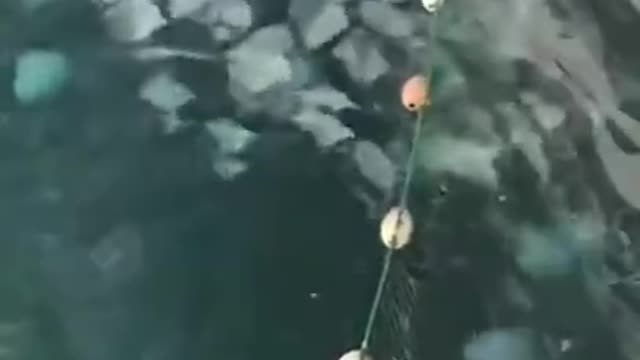 people in Indonesia catch fish using nets