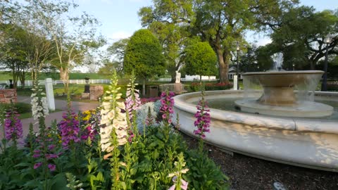 Louisiana fountain view and flowers