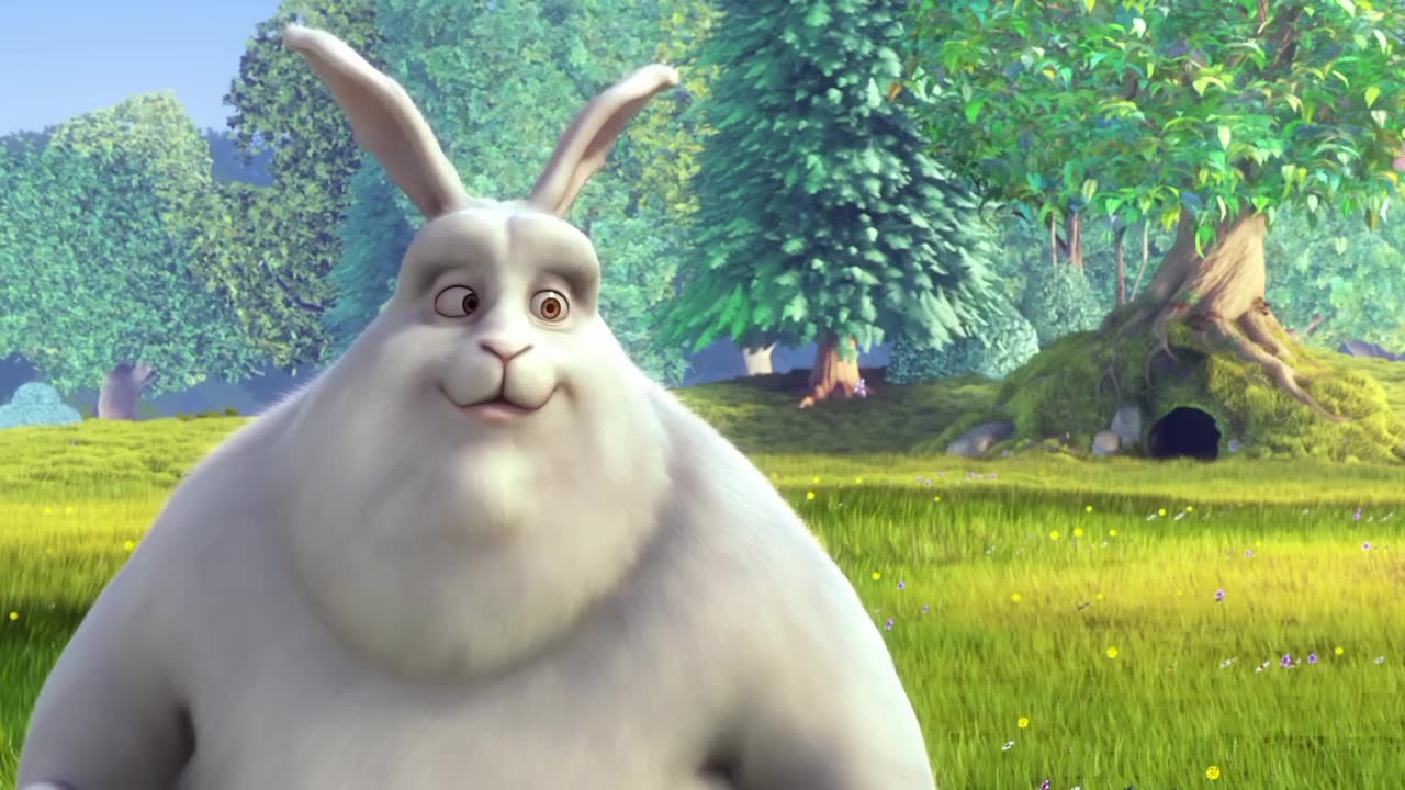 Bunny rabbit cartoon video