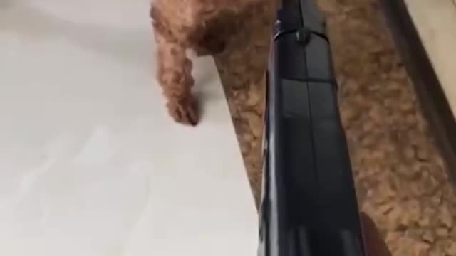 Put your hands up