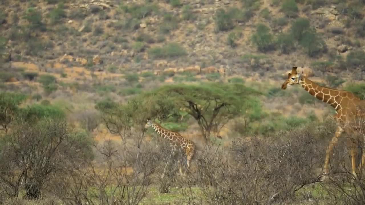 What are they doing?