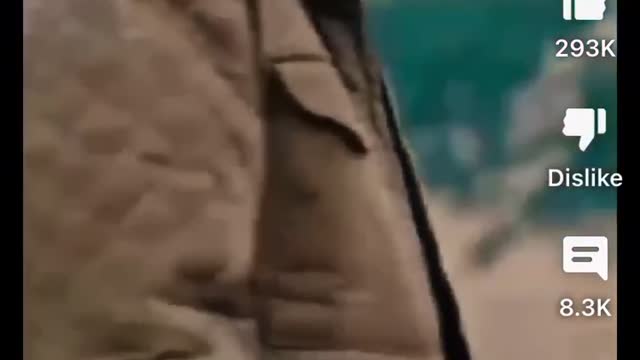 Farmer schools vegan protester.