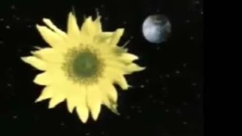 SUNFLOWER ¤ CERN Occultscience101