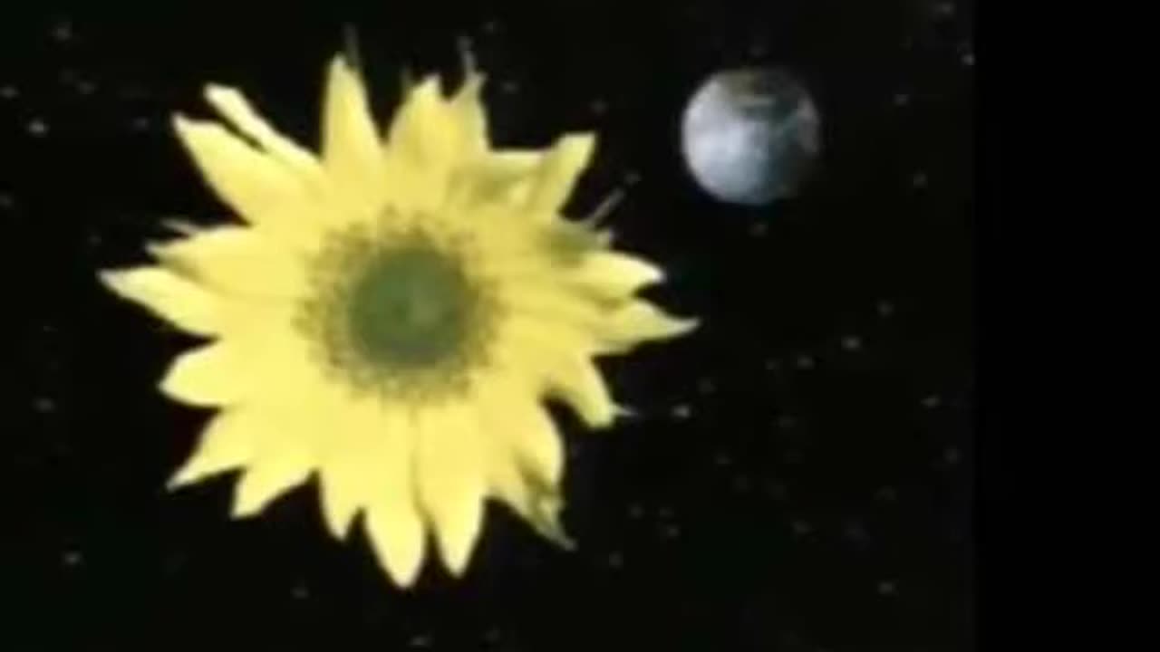 SUNFLOWER ¤ CERN Occultscience101